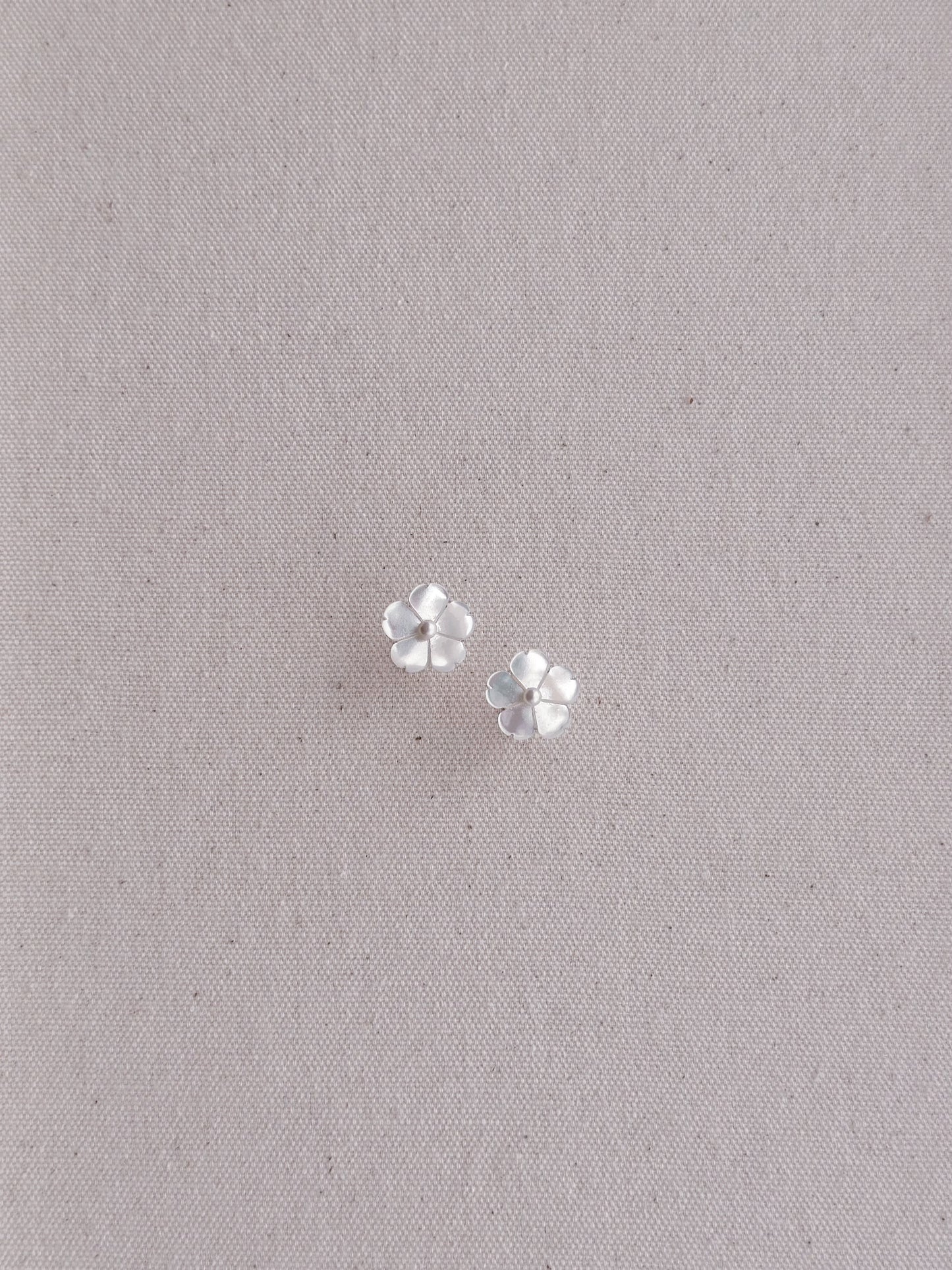 𝚂𝚗𝚘𝚠𝚍𝚛𝚘𝚙 𝙴𝚊𝚛𝚛𝚒𝚗𝚐𝚜