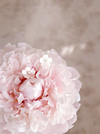 Snowdrop Earrings